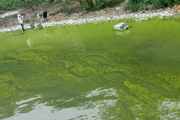 深圳水質(zhì)檢測公司 第三方 深圳水質(zhì)檢測公司 第三方