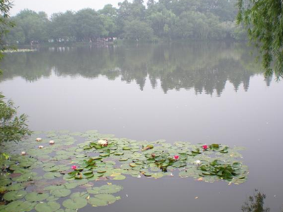 深圳水質(zhì)檢測 深圳水質(zhì)檢測