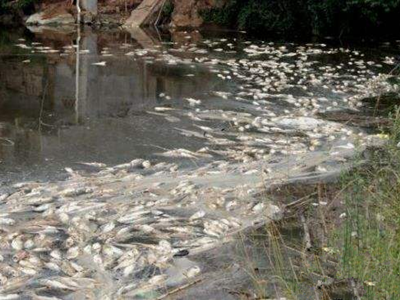 深圳水質(zhì)檢測(cè) 深圳水質(zhì)檢測(cè)