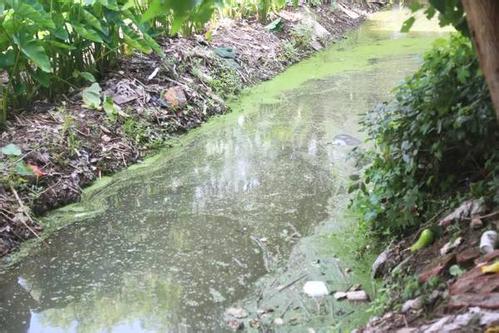 深圳水質(zhì)檢測 深圳水質(zhì)檢測